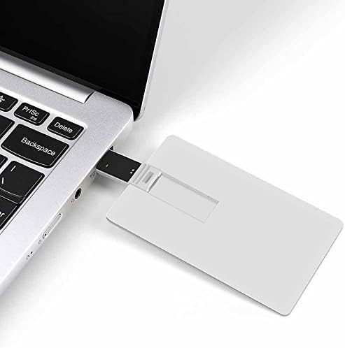 נמר פינק כרטיס אשראי כרטיס אשראי USB כונני פלאש בהתאמה אישית של מקל מזיכרון מפתח מתנות תאגידיות