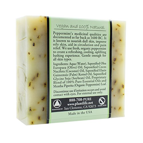 סבון מנטה פלנטלייף-סבון לחות ומרגיע לעור שלך-מעוצב בעבודת יד באמצעות מרכיבים צמחיים-תוצרת קליפורניה