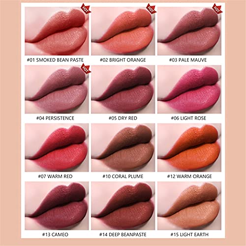 12 צבעים שפתון, חדש מט מזין שפתון קטיפה לאורך זמן עמיד למים גלוס 3 גרם, פיגמנט שפתיים איפור מתנה עבור בנות ונשים