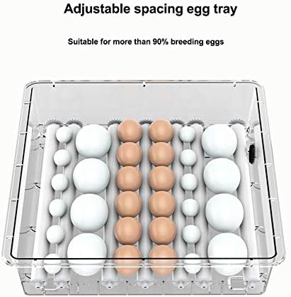 האצ ' ר אוטומטי דיגיטלי, חממת ביצים עם פונקציית סיבוב אוטומטית, עם בקרת טמפרטורה, חממות דיגיטליות או בקיעת